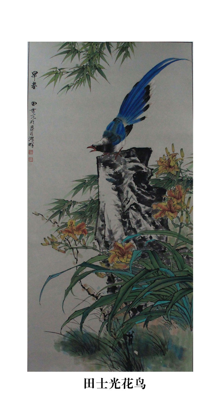 田士光：花鸟
