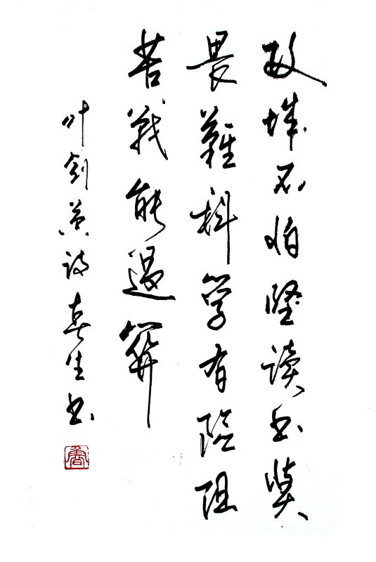 叶剑英攻关