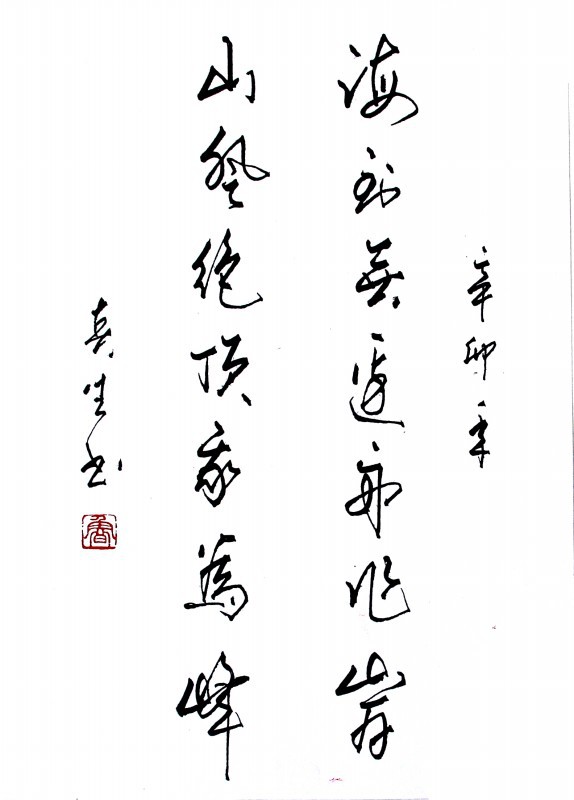 海到无边天作岸，山登绝顶我为峰