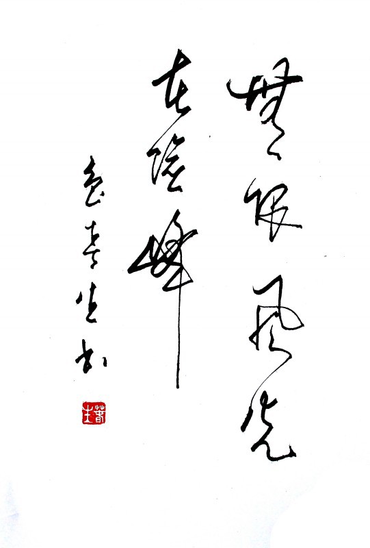 无限风光在险峰