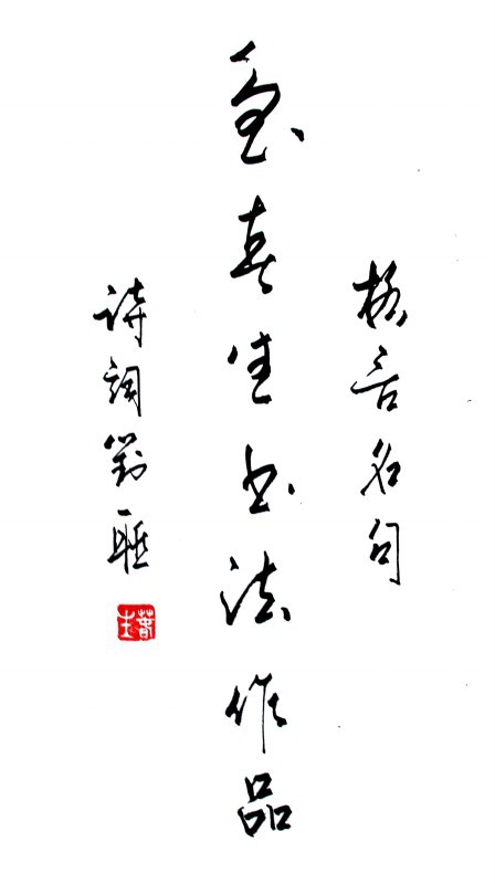 鲁春生书法